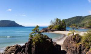Read more about the article Vancouver Island
