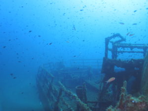 Read more about the article Wreck Diver